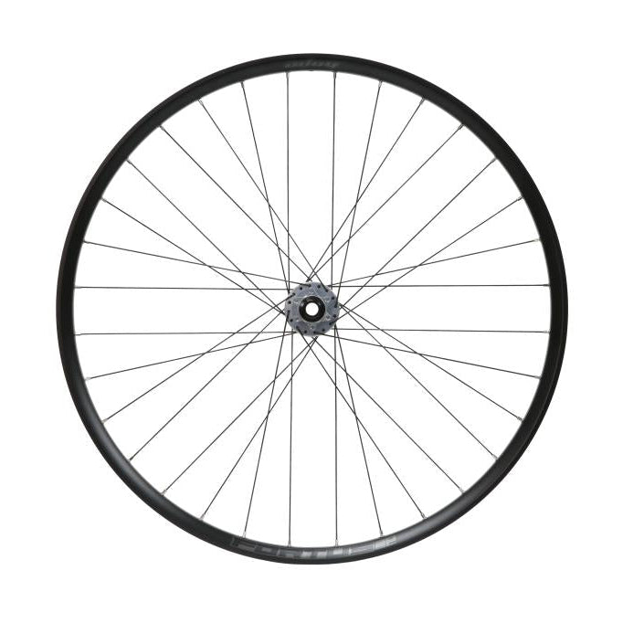 Roda dianteira HOPE FORTUS 30 W SC 29" PRO 5 15x110 mm Boost Prata