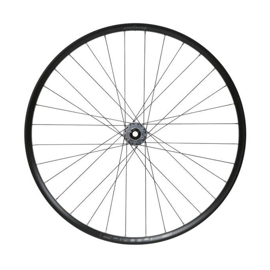 Roda dianteira HOPE FORTUS 30 W SC 29" PRO 5 15x110 mm Boost Prata