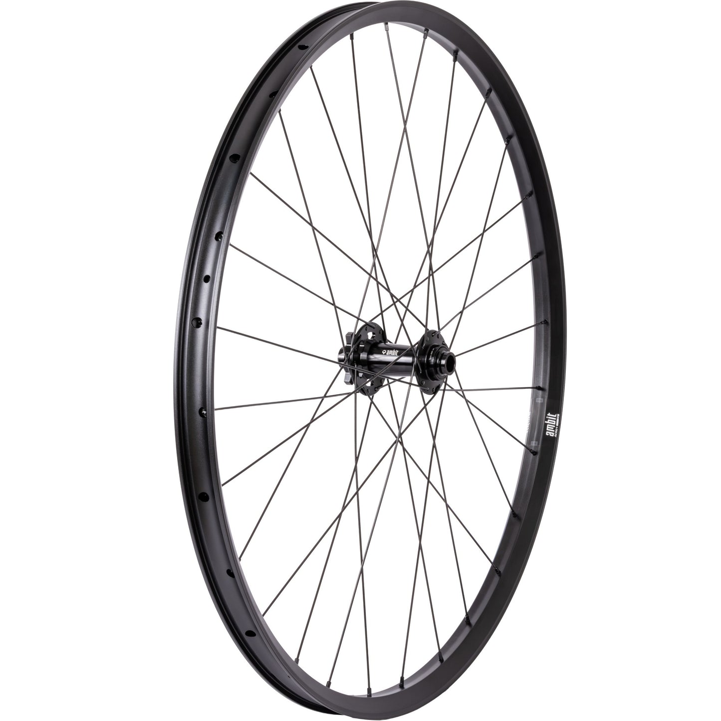 Roda dianteira AMBIT REALM 29" 15*110mm Boost