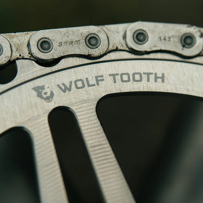 Prato Mono WOLF TOOTH DROP-STOP B GRAVEL DM 8 Parafusos Sram Raw Silver