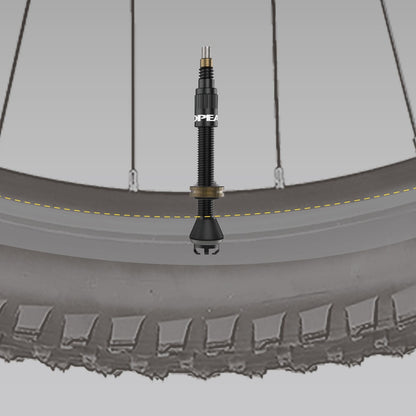 Conjunto de 2 Válvulas Tubeless TOPEAK TURBOFLOW Preto