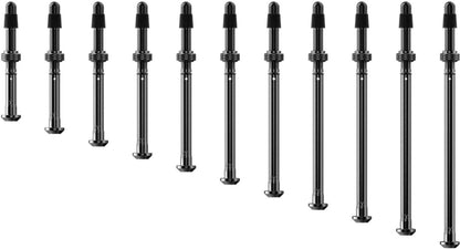 Válvulas Tubeless SRAM ZIPP QUARQ TyreWiz 2.0