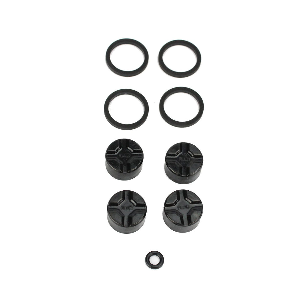 Kit de Recondicionamento de Pinça HAYES Dominion A4 #98-36140-K001