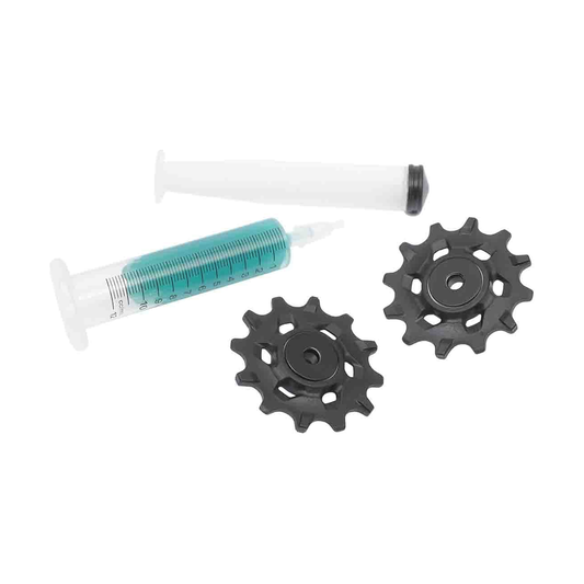 Roldanas cerâmicas pretas do desviador de 11 velocidades SRAM XX1/X01 #00.7518.025.000 — peça sobre fundo branco