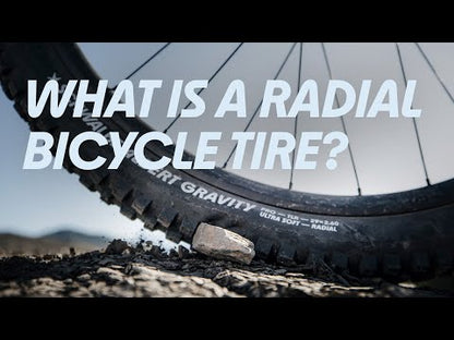Pneu SCHWALBE SHREDDA FRONT 29x2.50 GRAVITY PRO ADDIX ULTRASOFT RADIAL Tubeless Ready Flexível