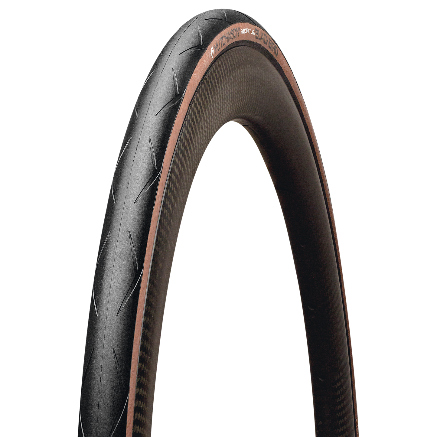 Pneu HUTCHINSON BLACKBIRD 700x30c Tubeless Ready Castanho