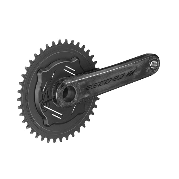 Pedal CAMPAGNOLO RECORD X WRL 13V